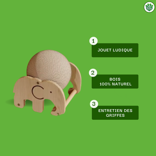 Balle à gratter pour chat